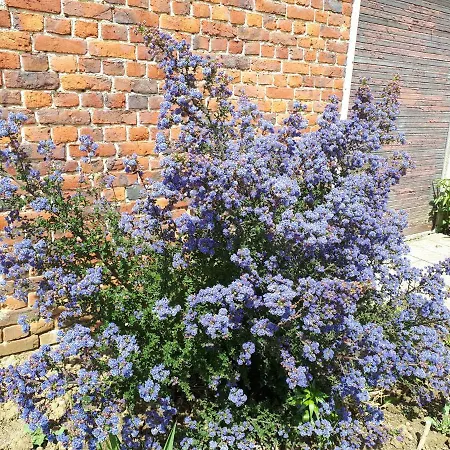 Deux Dans Maison Individuelle Au Coeur De L Avesnois Privatunterkunft *