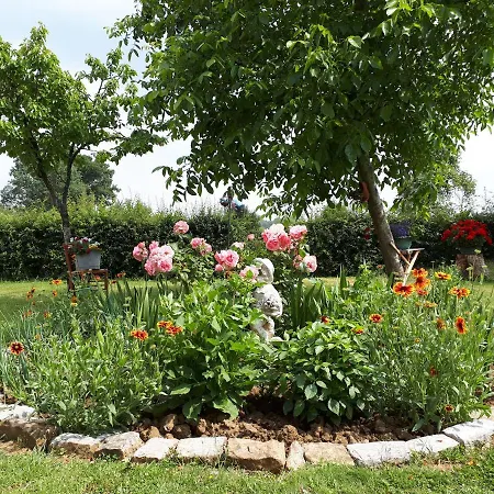 Deux Dans Maison Individuelle Au Coeur De L Avesnois