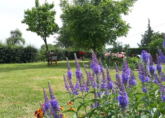 Homestay Deux Dans Maison Individuelle Au Coeur De L Avesnois Saint-Hilaire-sur-Helpe