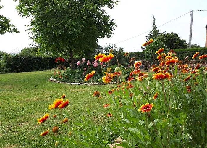 Deux Dans Maison Individuelle Au Coeur De L Avesnois